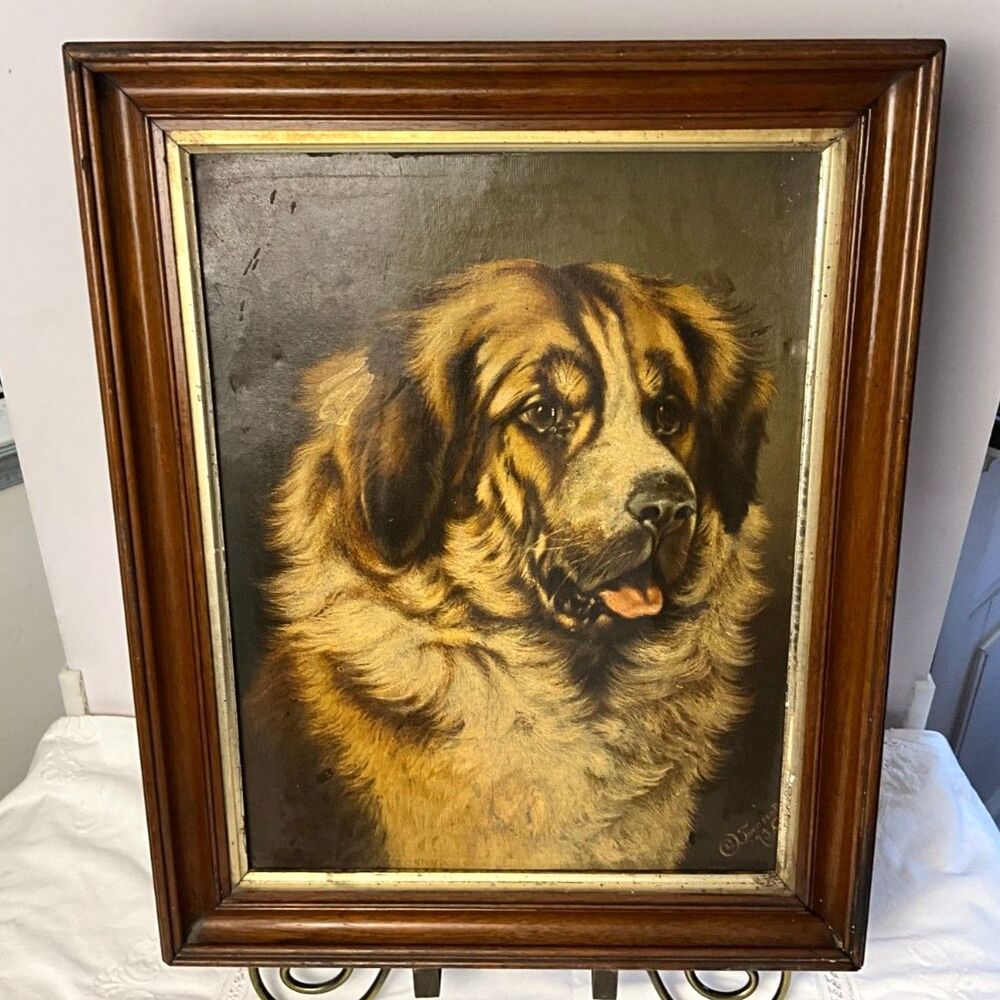 Vintage Saint Bernard Dog Portrait Framed Textured Print Oil Style Sporting Art